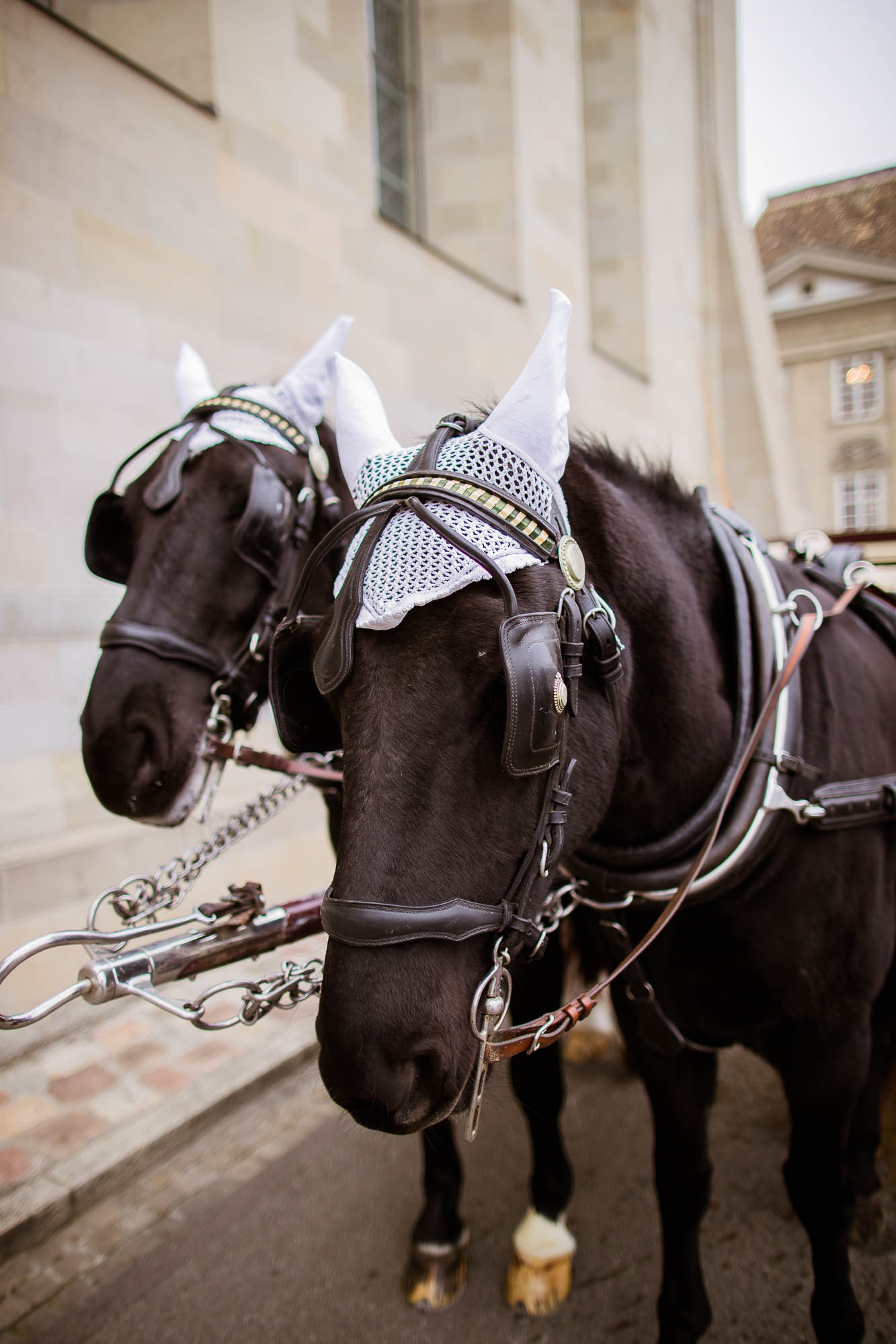 Export x3 1DX20801 Hochzeit 2020 Andrea & Joel